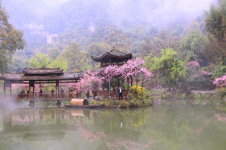 小艾比摄影家