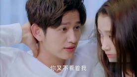 玄凤鹦鹉会被蚂蚁咬死吗？