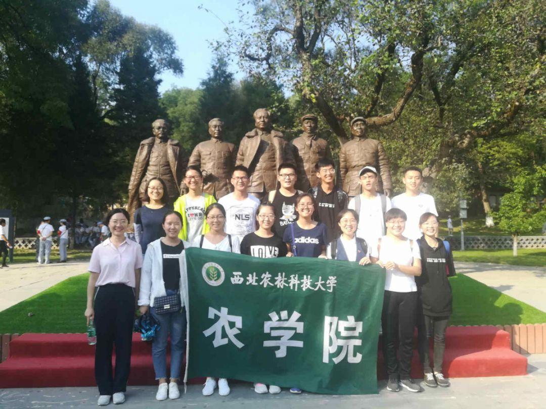 召唤神龙万宁版祖龙