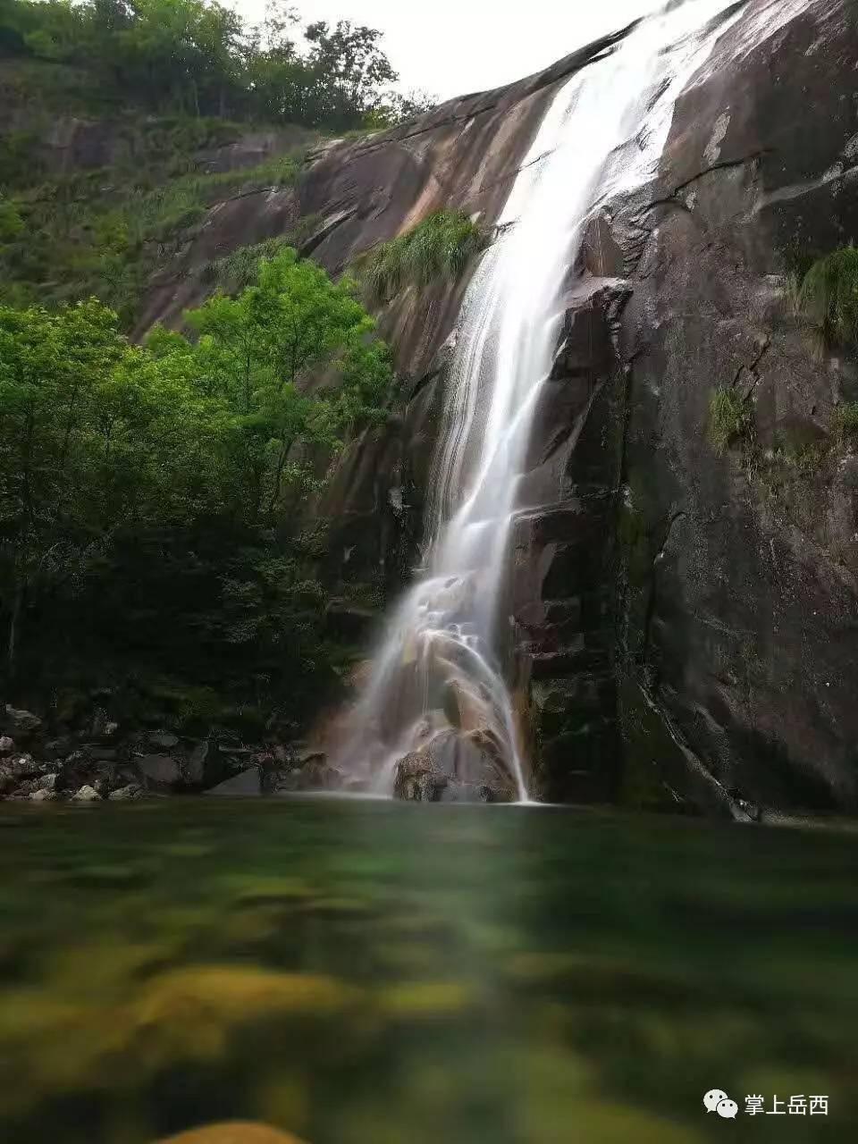 动物帮帮忙保卫家园