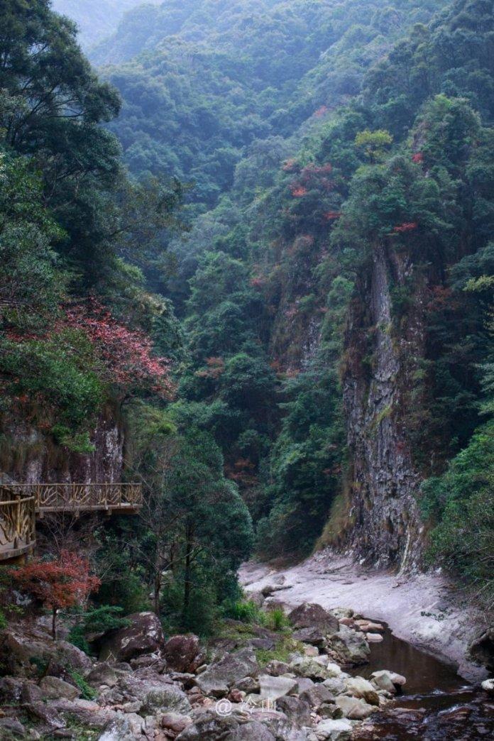 虫虫助手下载
