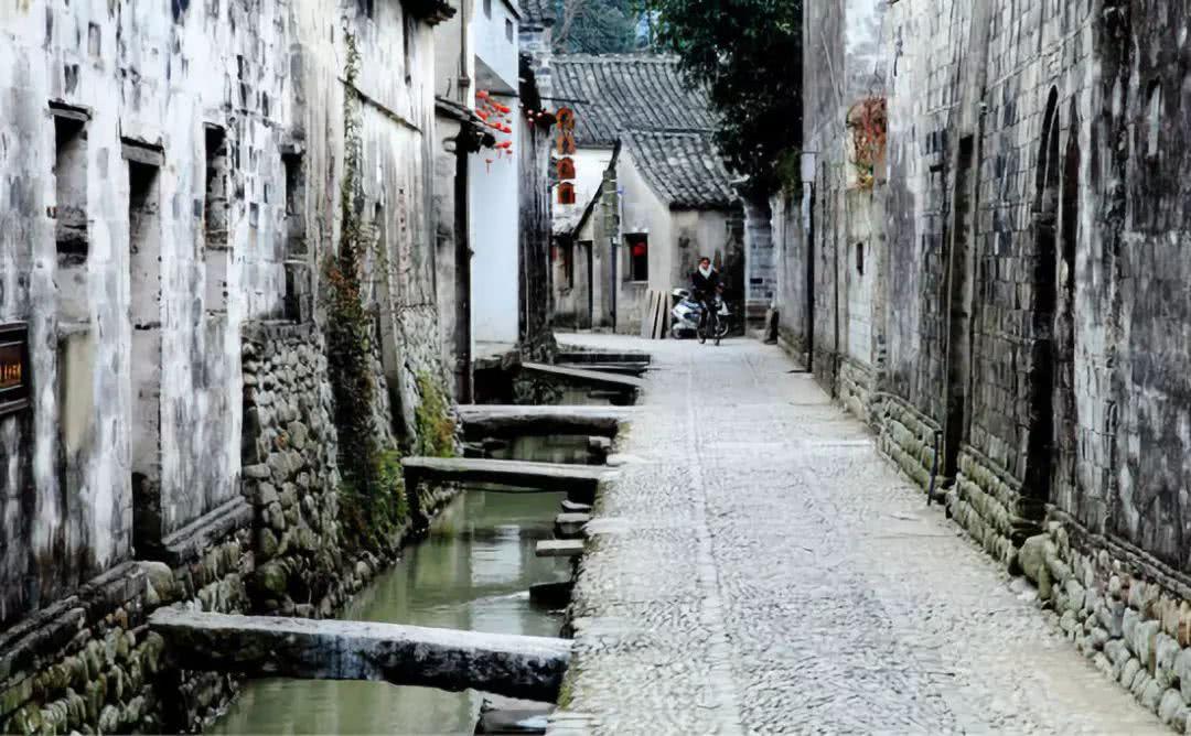 逃出小象森林