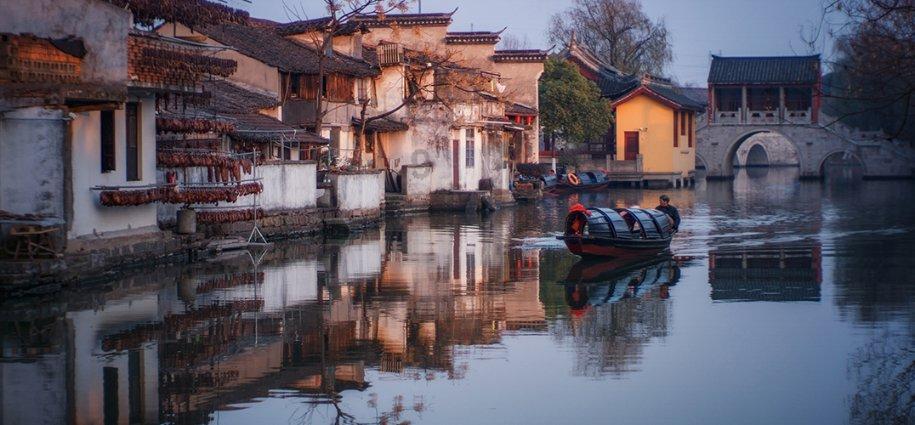 生化危机：浣熊市行动