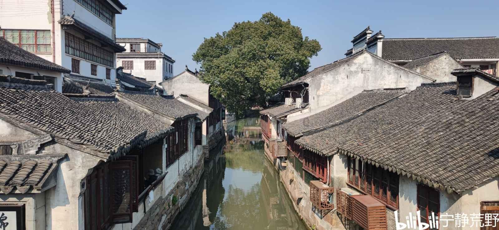 妈妈做什么对宝宝未来有益？游戏画面